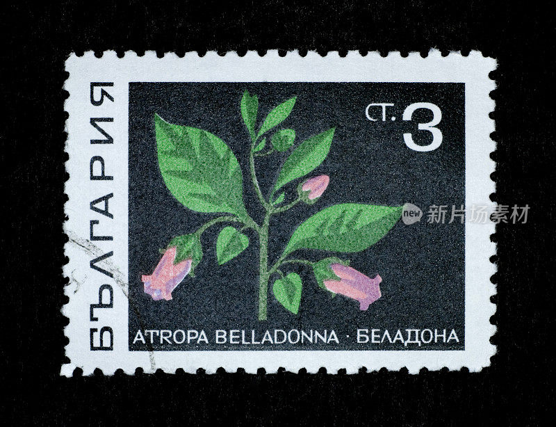 邮票:致命茄(Atropa bella-donna)